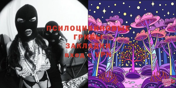 крисы Абинск