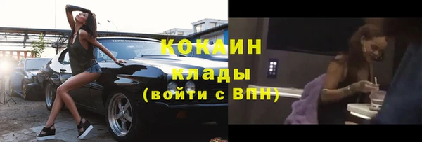 молекула духа Алексин